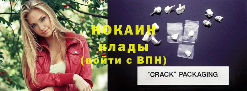 COCAIN FishScale Западная Двина